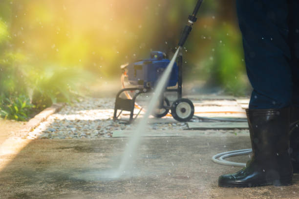 Best Soft Washing  in Hemet, CA